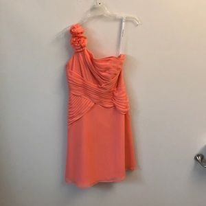 David’s Bridal Formal Dress